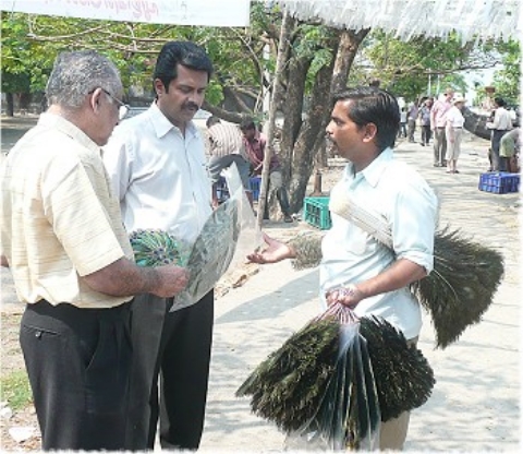 Images/cochin 679.jpg